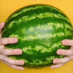 Fun Day – National Watermelon Day in August!